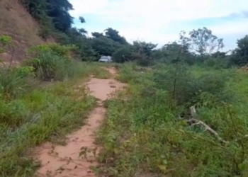 Corpo de mulher é encontrado enterrado em cova rasa em matagal em Crato