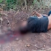 Cadáver encontrado em Crato crivado de bala na cabeça