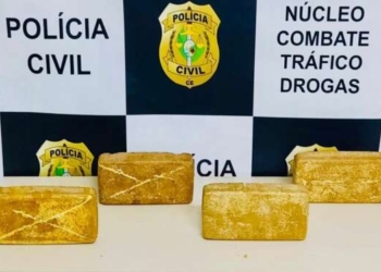 Polícia Civil prende mulher em flagrante em posse de 4 kg de drogas em Farias Brito