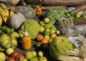 Fome grave atinge uma em cada cinco famílias negras no Brasil, diz pesquisa