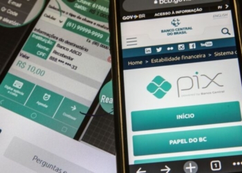 Pix vai tomar funções do cartão de crédito, diz presidente do BC