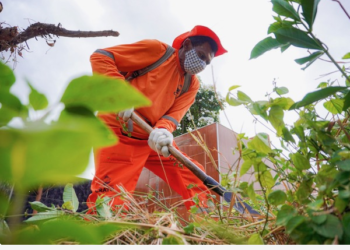 Cemitérios municipais do Crato estão prontos para receber visitantes neste Dia de Finados
