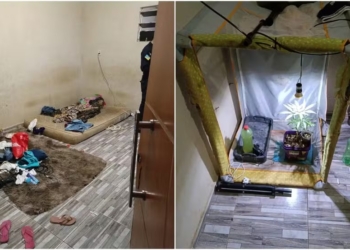 Mãe e companheiro são suspeitos de maus-tratos a crianças em Juazeiro do Norte.