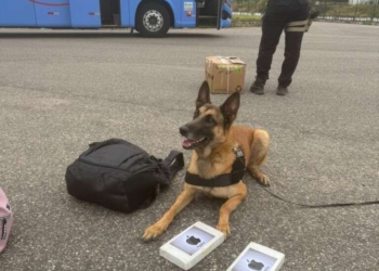 Mulher que vinha de Goiânia em posse de 4 kg de drogas é presa durante ação conjunta no Cariri
