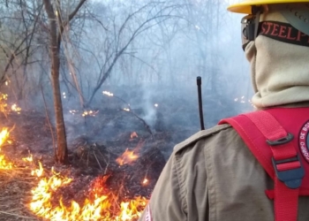 MP do Ceará cobra ações de prevenção a incêndios florestais e urbanos no Crato