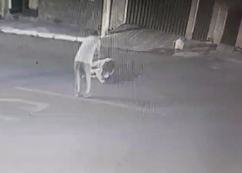 Candidato a vereador mata pai de concorrente ao cargo em Crato; em Caririaçu, dois candidatos a vereador se agridem e acabam conduzidos à delegacia