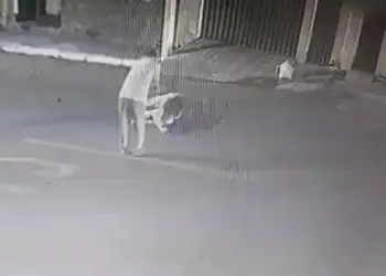 Candidato a vereador mata pai de concorrente ao cargo em Crato; em Caririaçu, dois candidatos a vereador se agridem e acabam conduzidos à delegacia