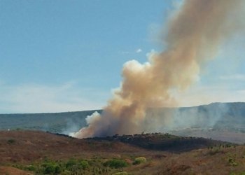 MP do Ceará abre investigação para apurar causas de incêndio na Chapada do Araripe