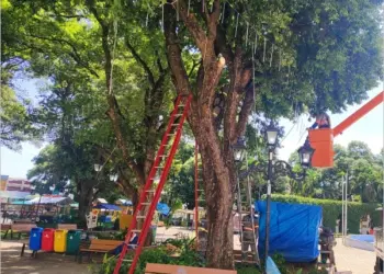 Decoração para o Natal do Crato traz novidades este ano