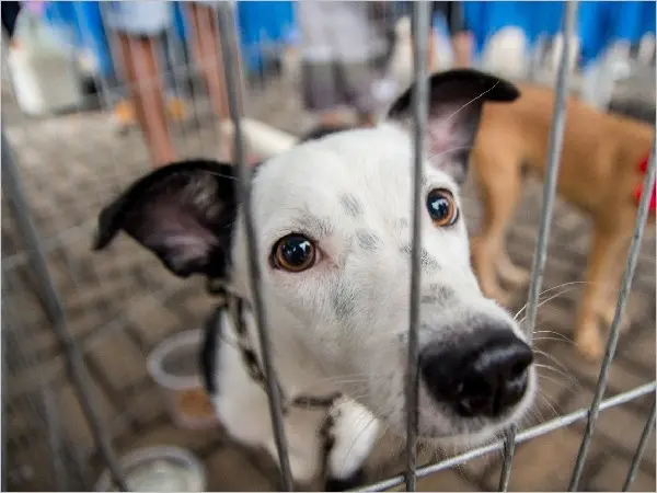 Foto: Prefeitura do Crato