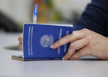 Entre 2019 e 2024, a taxa de jovens desempregados caiu pela metade