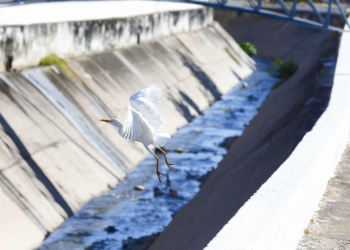 Obra do Canal Rio Granjeiro no Crato deve ter primeiras etapas concluídas até dezembro