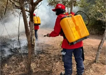 Crato registra sete queimadas em agosto e alerta para o surgimento de focos na estiagem