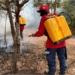 Crato registra sete queimadas em agosto e alerta para o surgimento de focos na estiagem