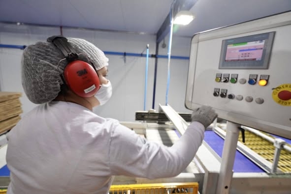 O resultado foi divulgado pelo Ipece nesta quarta-feira (17). (Foto: Carlos Gibaja)