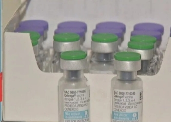 Anvisa e Butantan avançam para liberar vacina contra dengue de dose única