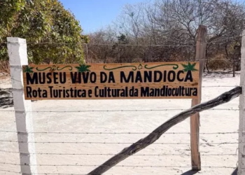 Museu Vivo da Mandioca, em Salitre | .Foto: Reprodução/ Instagram Rondilson Ribeiro