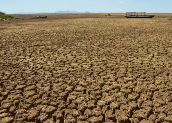 Ceará atinge maior índice de seca grave em quase seis anos, com 65 municípios afetados