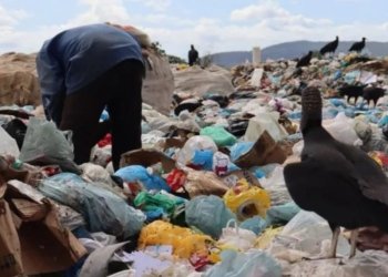 90% das cidades do Cariri ainda descartam resíduos em lixões, aponta relatório