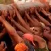 Pau da Bandeira reúne mais de 300 mil pessoas e mantém viva tradição centenária em Barbalha