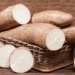 Salitre se destaca como maior produtor de mandioca do Nordeste e ocupa 3º lugar no Brasil
